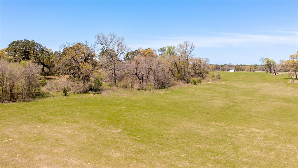 Davidson Road, Huntsville, Texas image 18