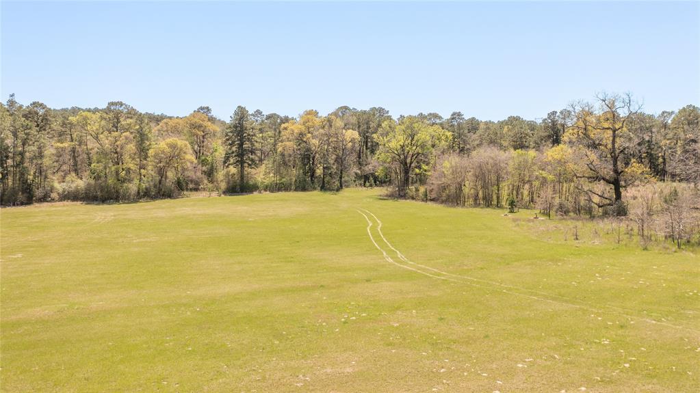 Davidson Road, Huntsville, Texas image 16