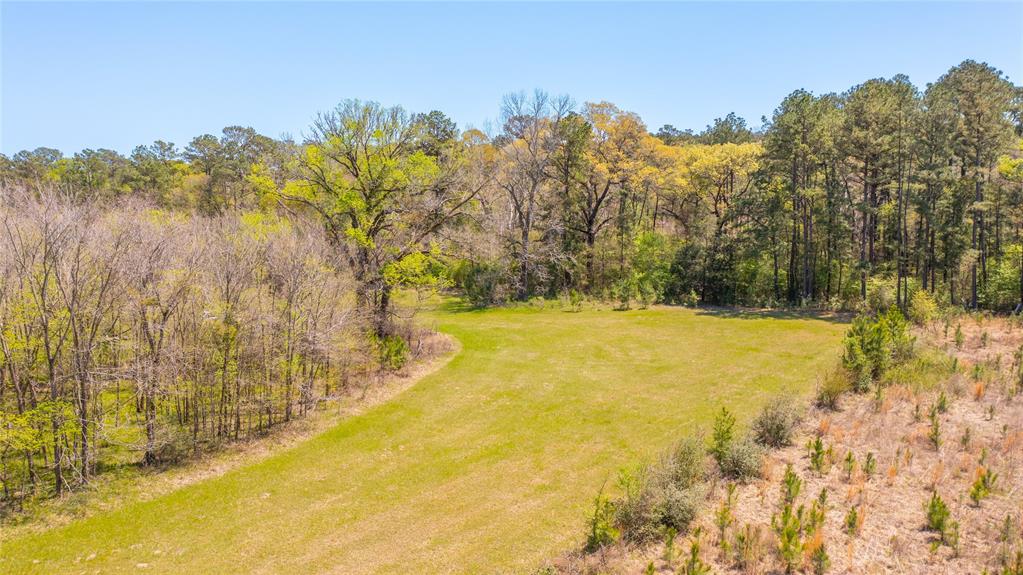 Davidson Road, Huntsville, Texas image 20