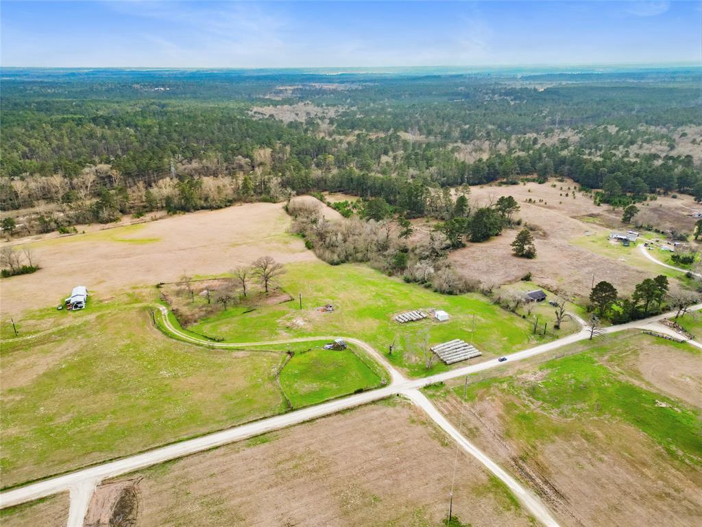 Davidson Road, Huntsville, Texas image 25