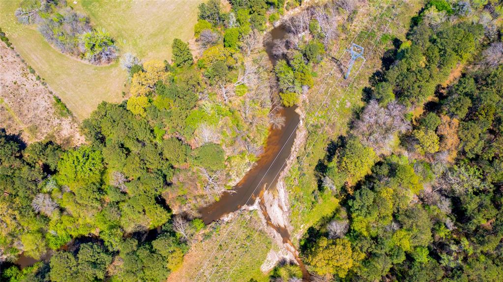 Davidson Road, Huntsville, Texas image 4