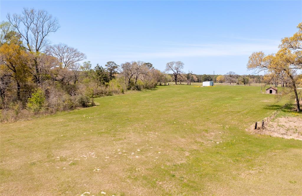Davidson Road, Huntsville, Texas image 17