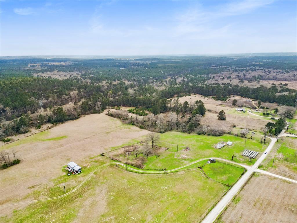 Davidson Road, Huntsville, Texas image 26