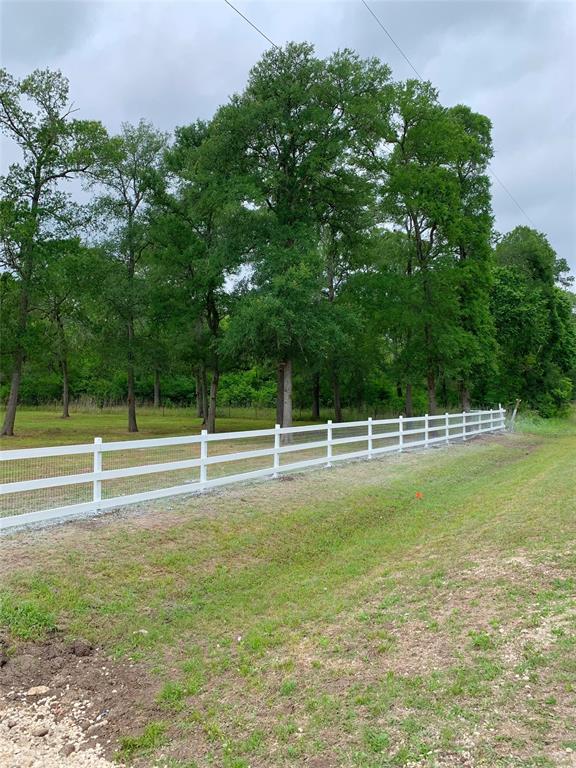 19403 Stuebner Airline Road, Spring, Texas image 2