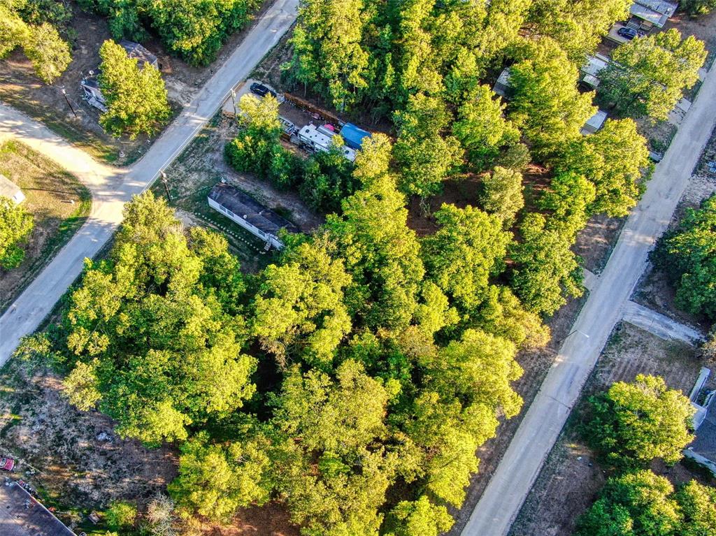 TBD Lot 103 Windwood Drive, Livingston, Texas image 2