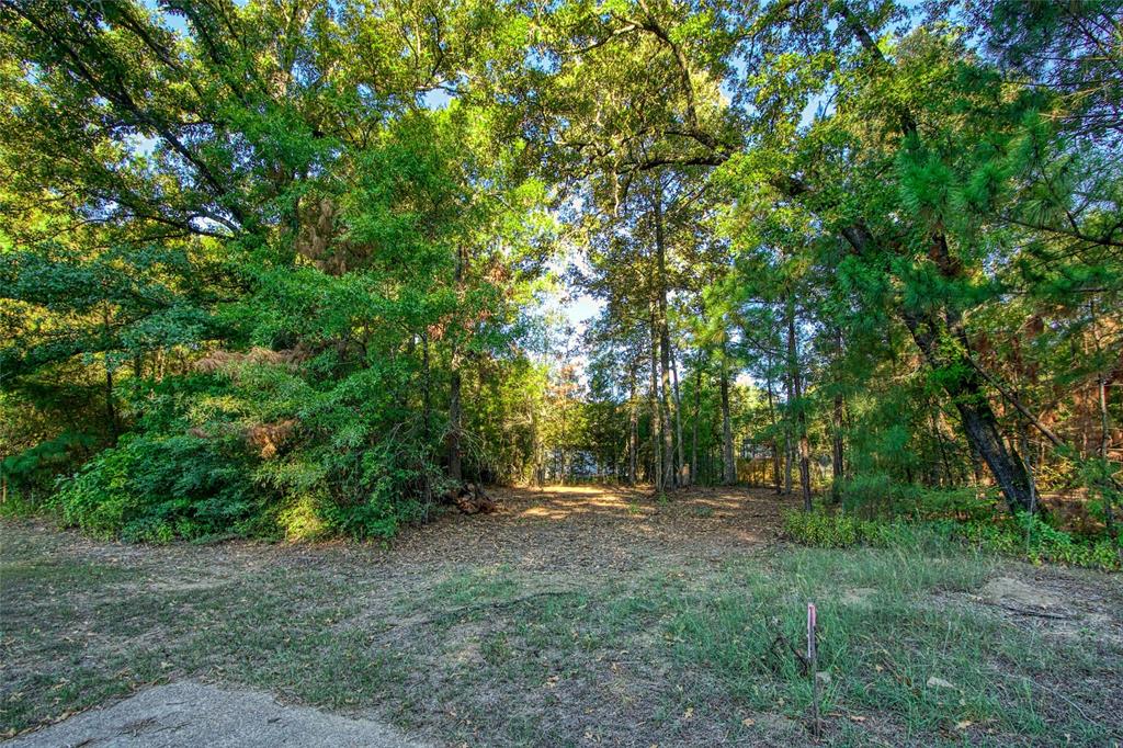 TBD Lot 103 Windwood Drive, Livingston, Texas image 4