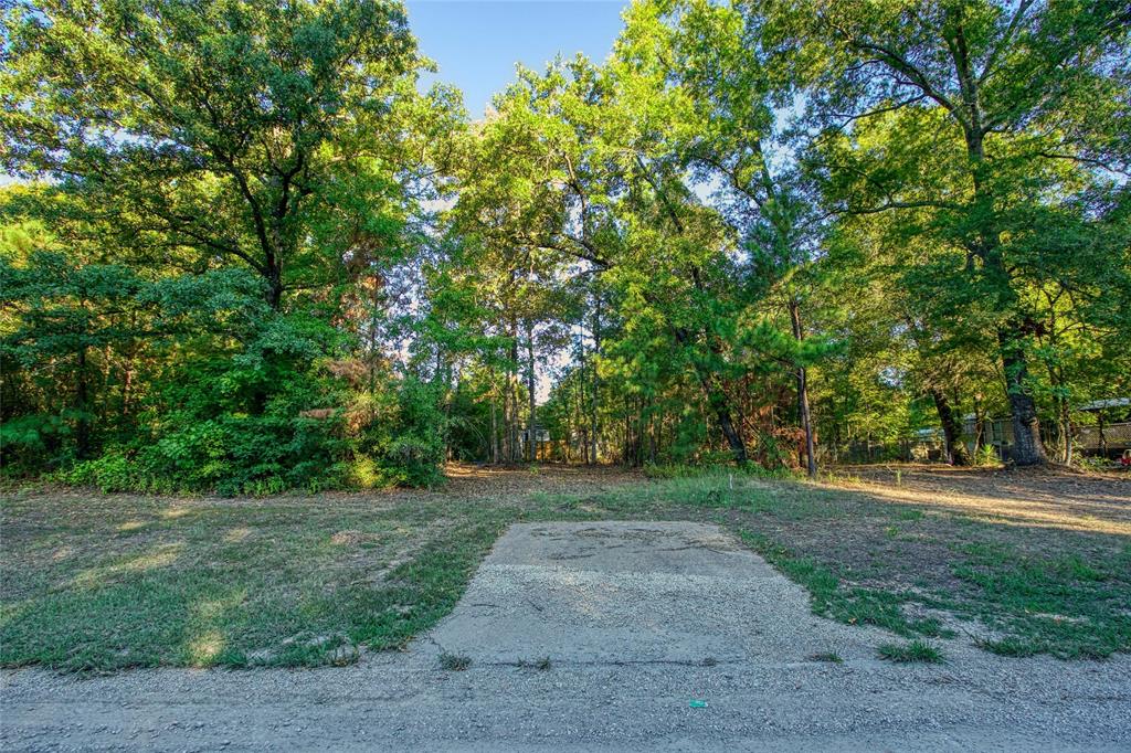 TBD Lot 103 Windwood Drive, Livingston, Texas image 3