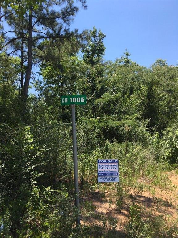 TBD Cr 1005 Street, Newton, Texas image 8