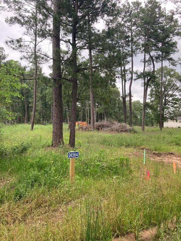 24564-24568 Riley Rd, Plantersville, Texas image 7