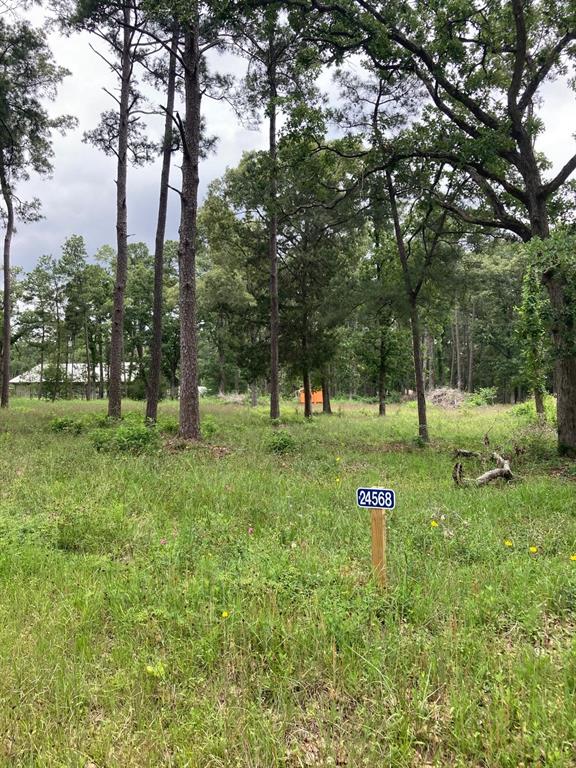 24564-24568 Riley Rd, Plantersville, Texas image 4