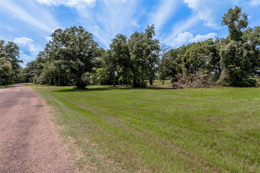 Lot 11 Galveston Lane, Trinity, Texas image 3