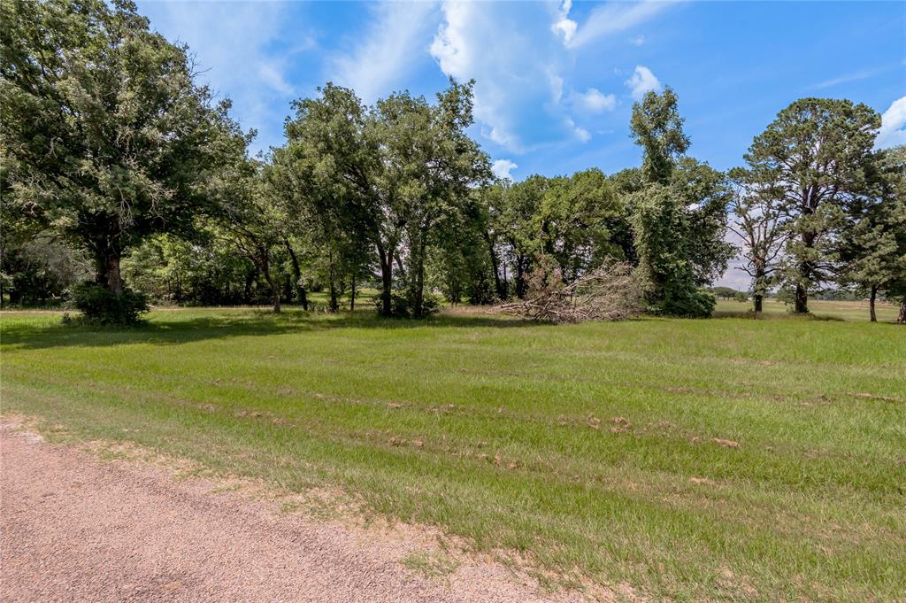 Lot 11 Galveston Lane, Trinity, Texas image 4