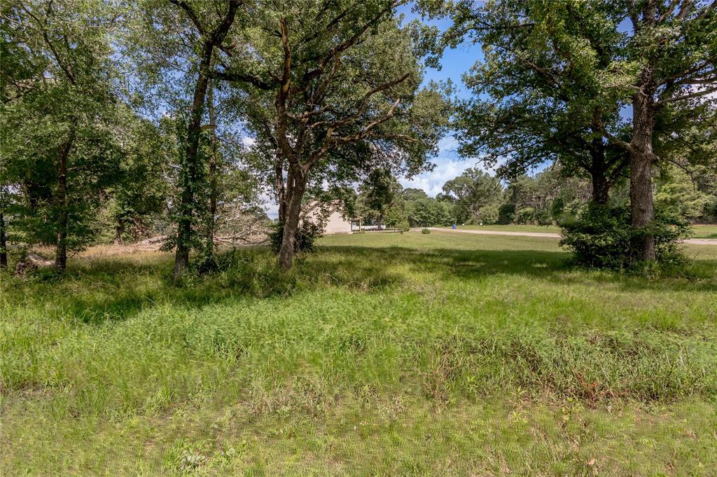 Lot 11 Galveston Lane, Trinity, Texas image 8