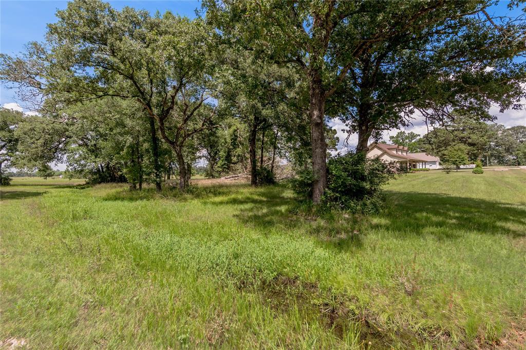 Lot 11 Galveston Lane, Trinity, Texas image 7