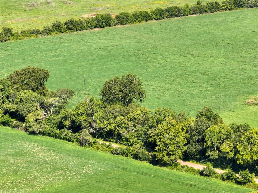 County Road 328, Caldwell, Texas image 17