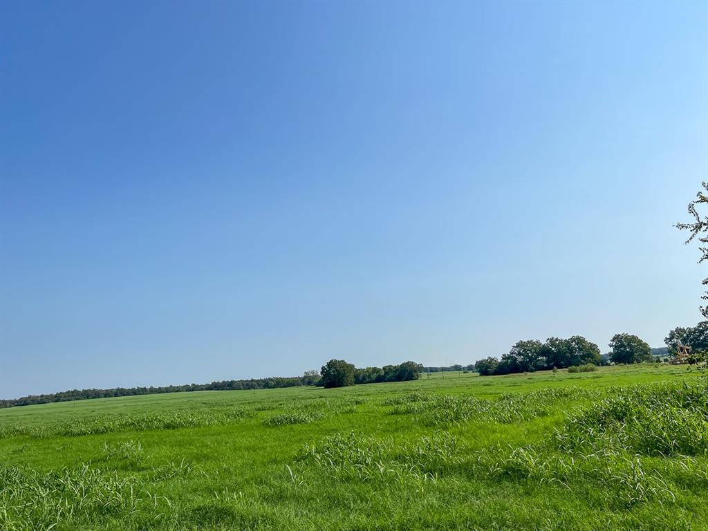 County Road 328, Caldwell, Texas image 5