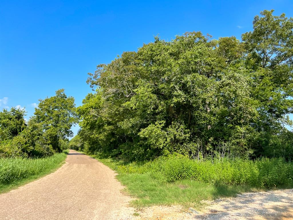 County Road 328, Caldwell, Texas image 3