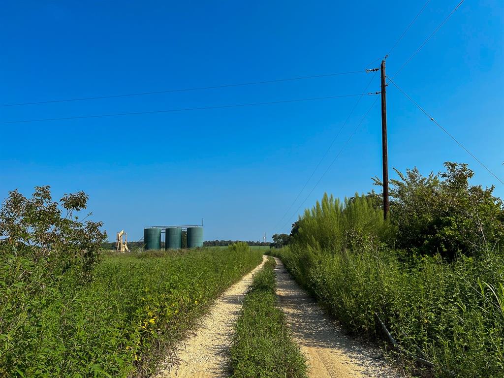 County Road 328, Caldwell, Texas image 6