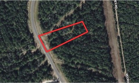 15392 Forest Grove Drive Willis TX 77378
