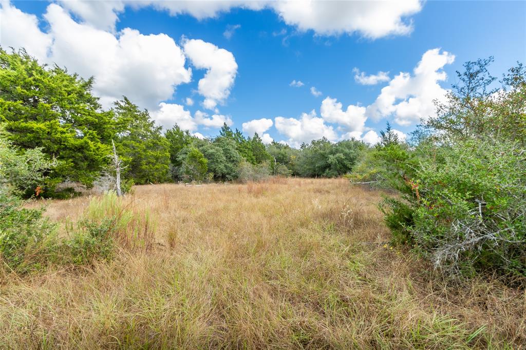 15272 State Highway 111, Yoakum, Texas image 33