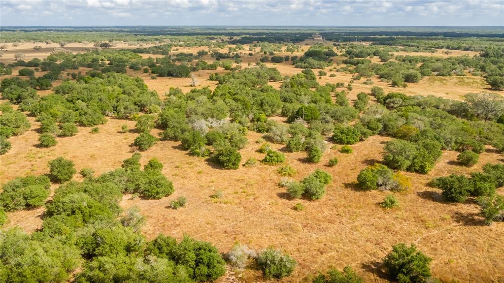 15272 State Highway 111, Yoakum, Texas image 17