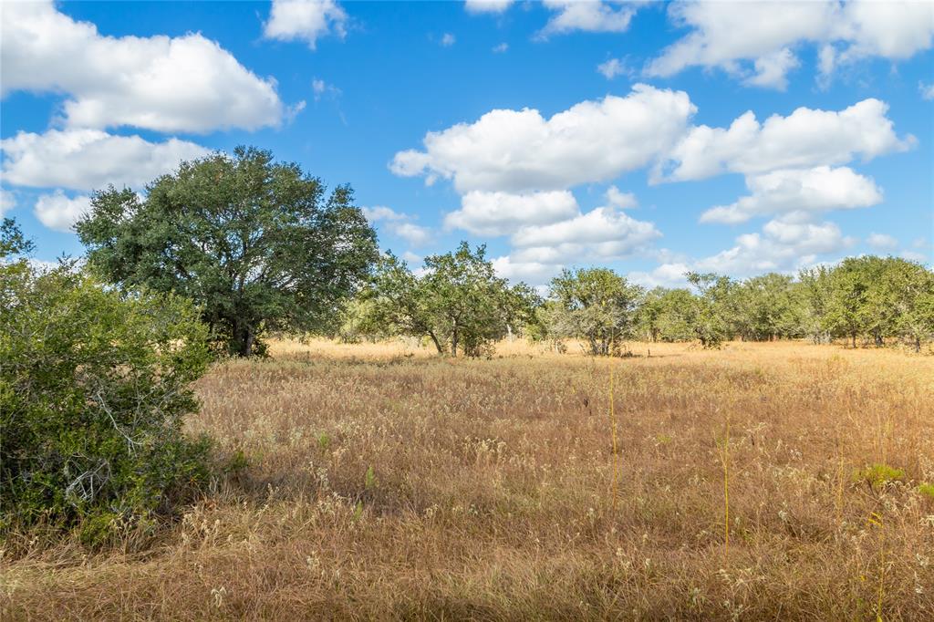 15272 State Highway 111, Yoakum, Texas image 37