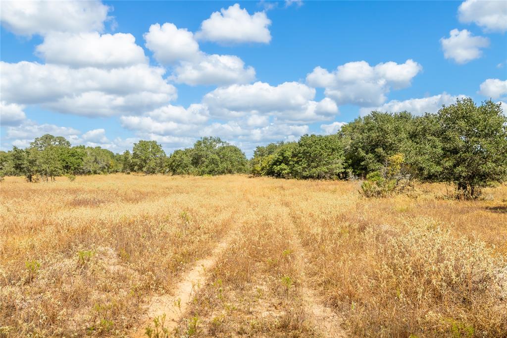 15272 State Highway 111, Yoakum, Texas image 36