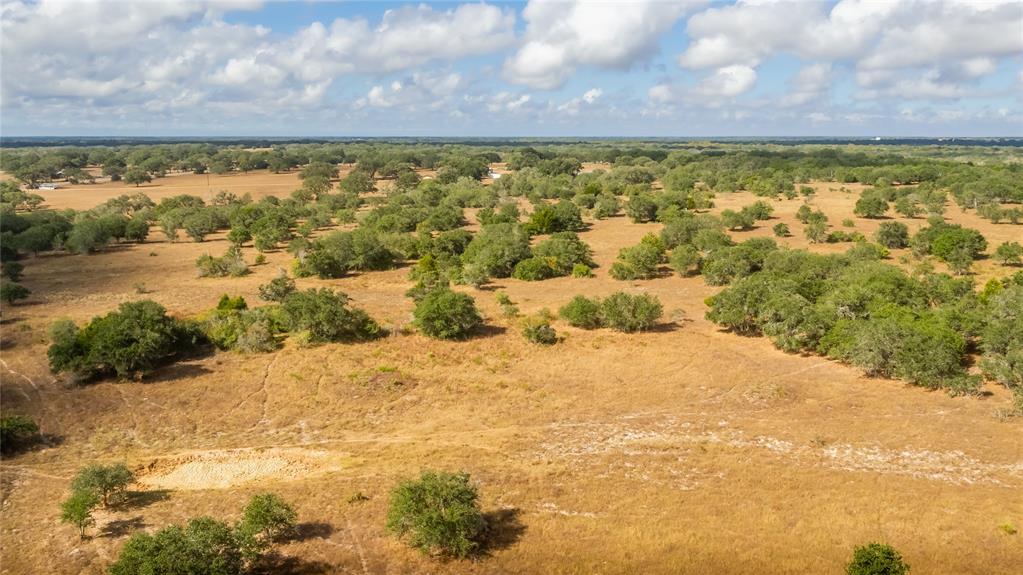 15272 State Highway 111, Yoakum, Texas image 8