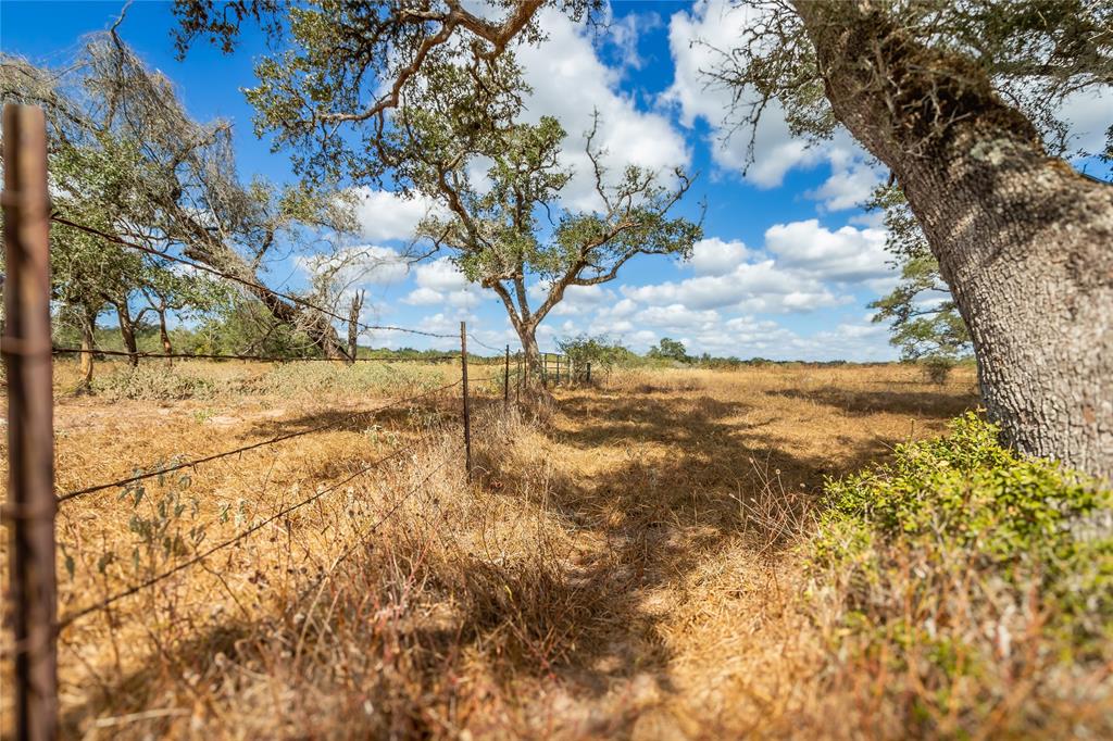 15272 State Highway 111, Yoakum, Texas image 38