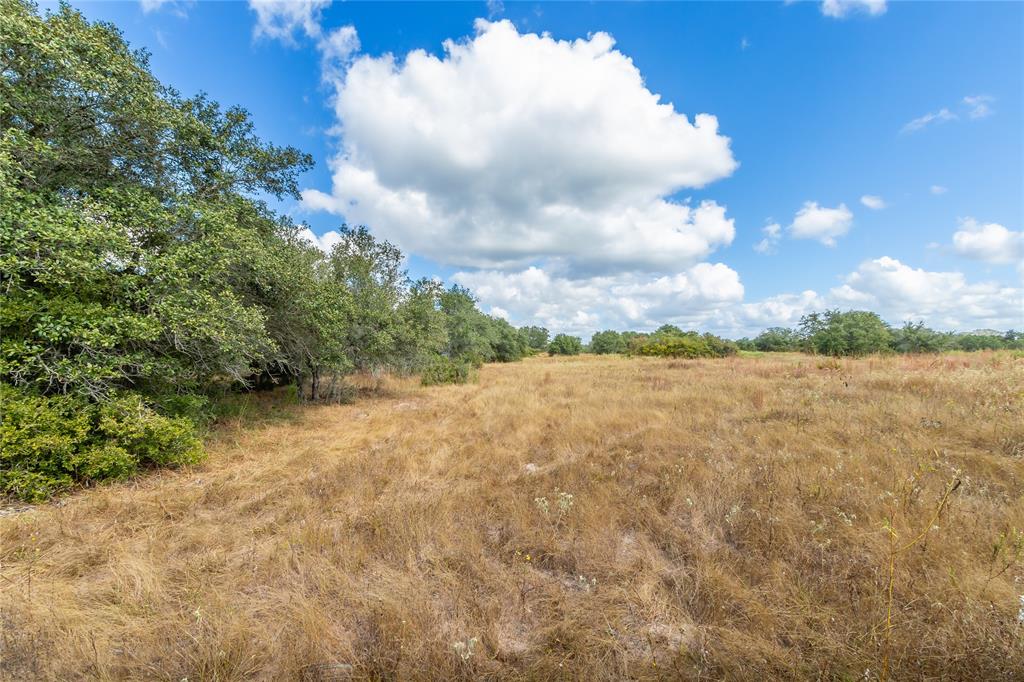 15272 State Highway 111, Yoakum, Texas image 30