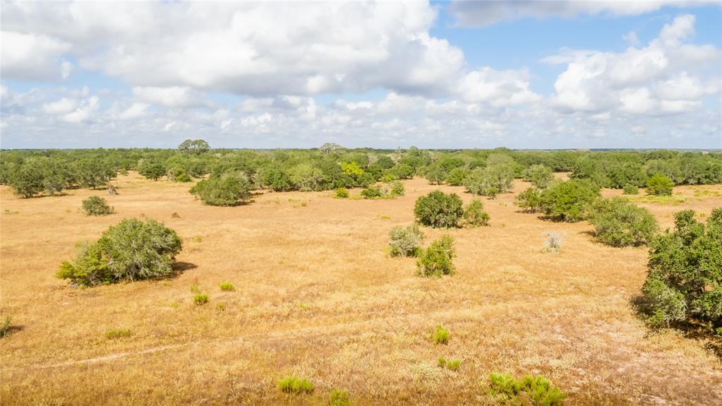 15272 State Highway 111, Yoakum, Texas image 11