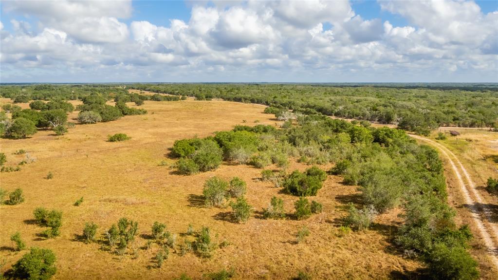 15272 State Highway 111, Yoakum, Texas image 3