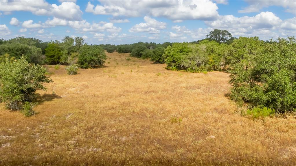 15272 State Highway 111, Yoakum, Texas image 24