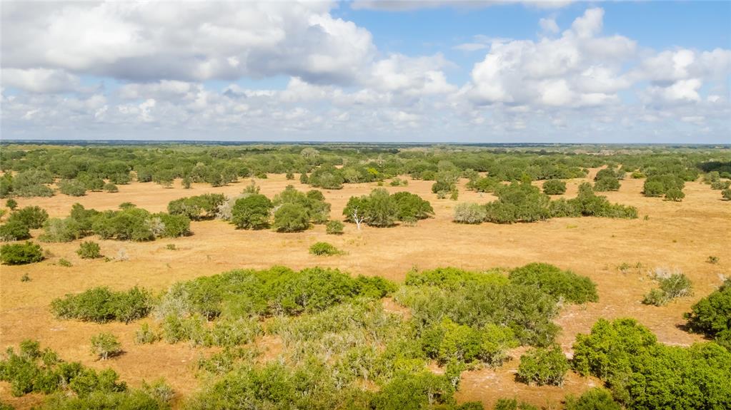 15272 State Highway 111, Yoakum, Texas image 9