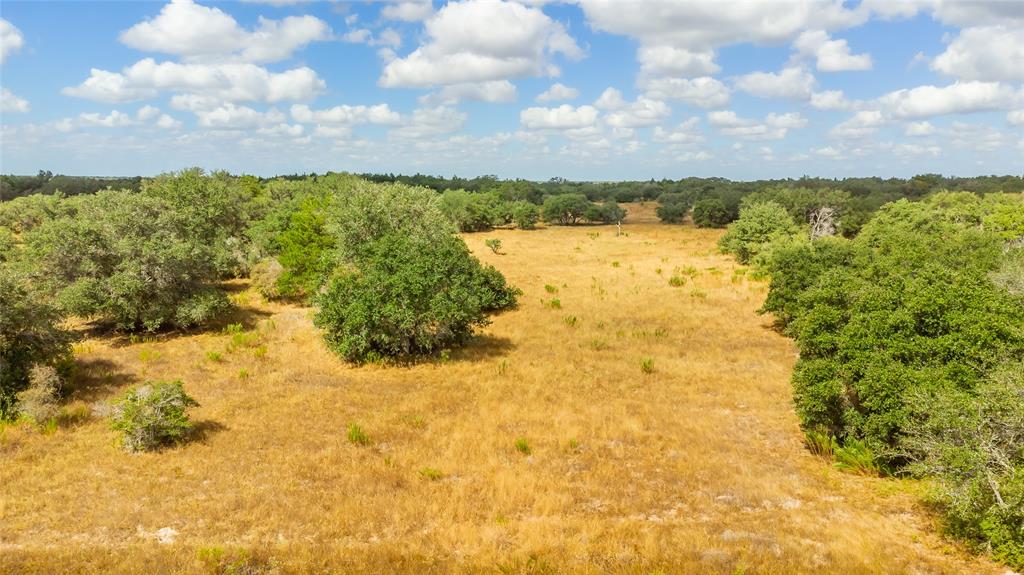 15272 State Highway 111, Yoakum, Texas image 10