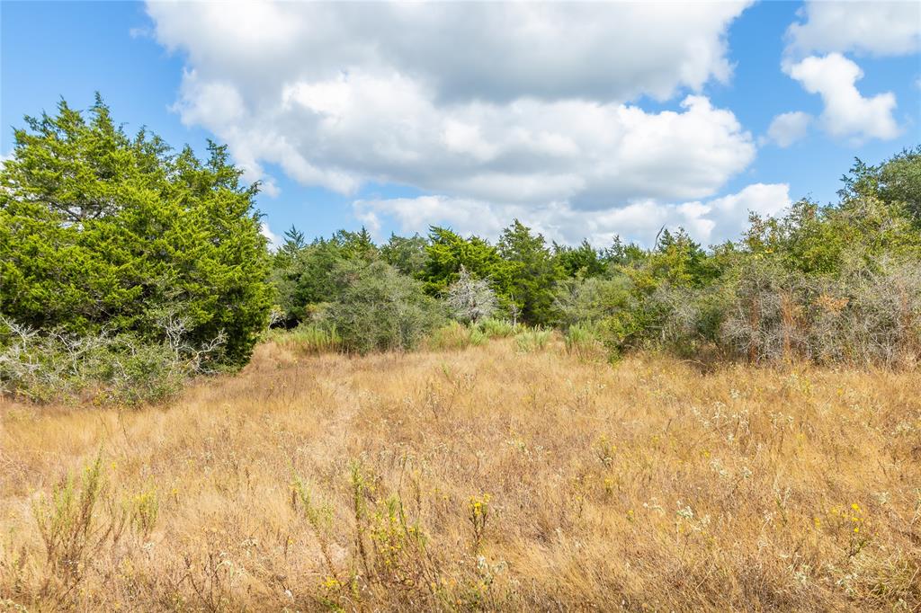 15272 State Highway 111, Yoakum, Texas image 32