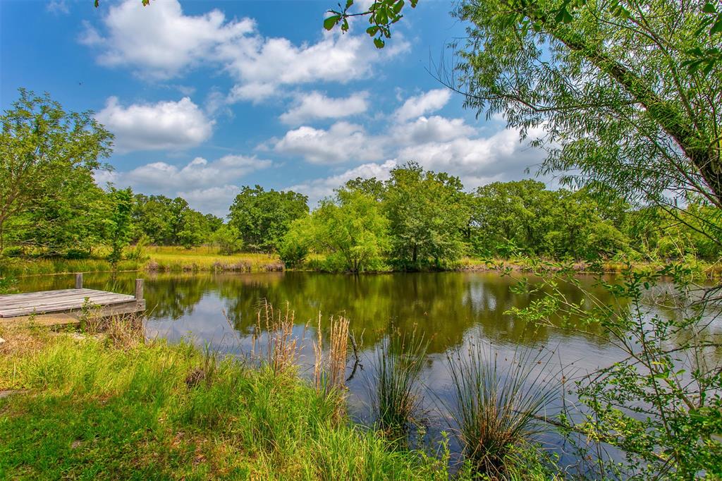 15303 Autumn Oaks Lane, Iola, Texas image 20