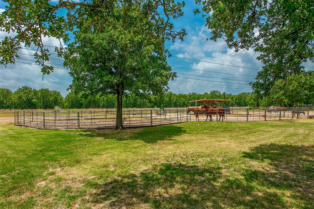 15303 Autumn Oaks Lane, Iola, Texas image 26