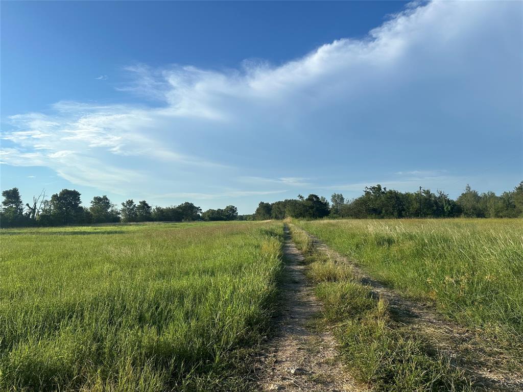 TBD Tx-36/hatton - Tract 1 Road, Wallis, Texas image 1