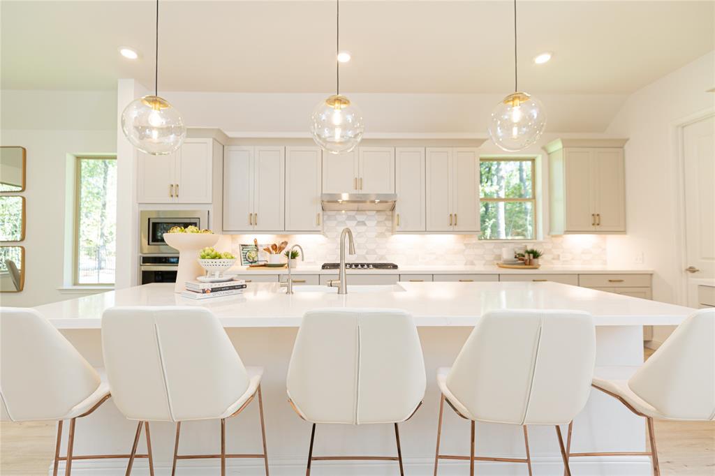 15489 Sun Rose Street, Conroe, Texas image 2