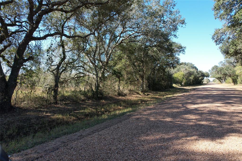Tract 4 11th Street, Rock Island, Texas image 34