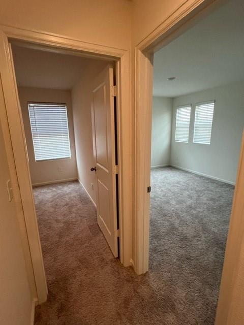 21596 Rolling Streams Drive, New Caney, Texas image 17