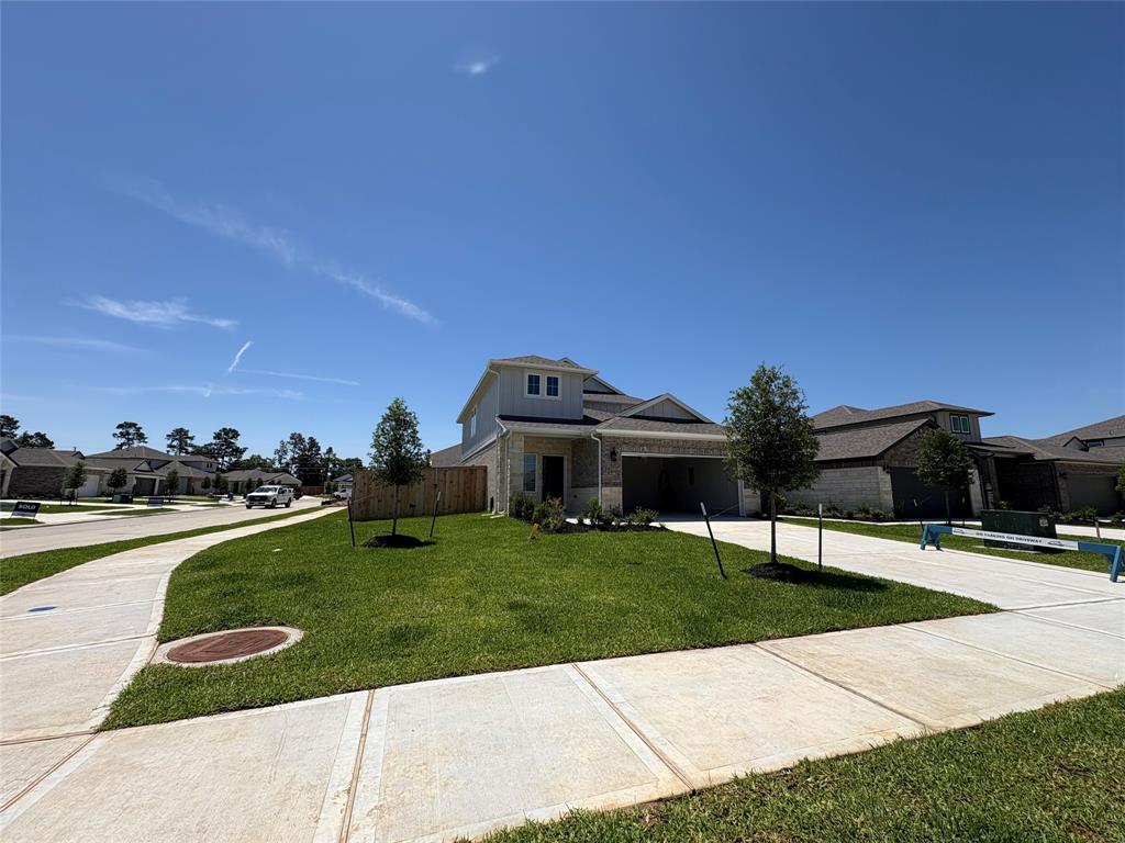 15542 Olive Terrace Trail