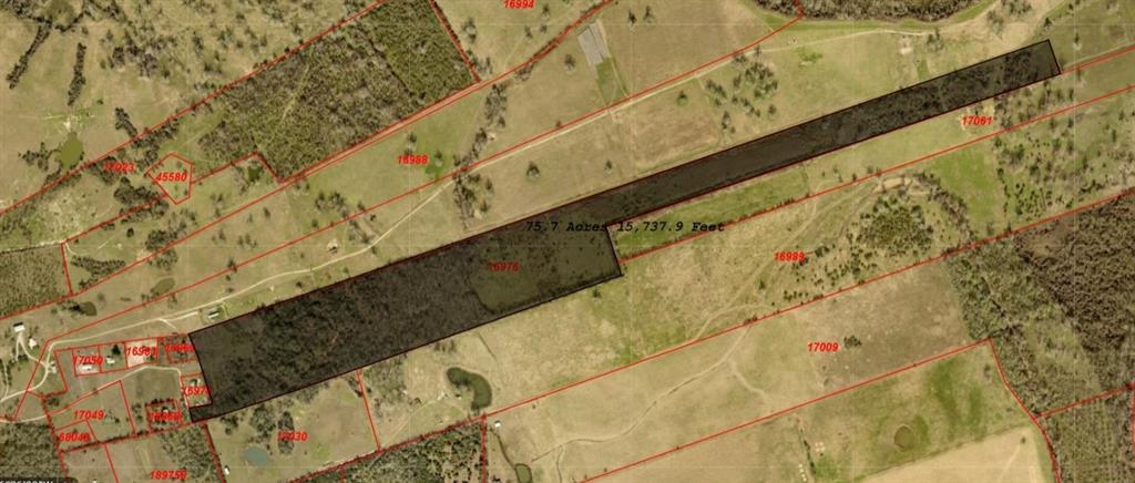 21300 Evans Lane, Washington, Texas image 1