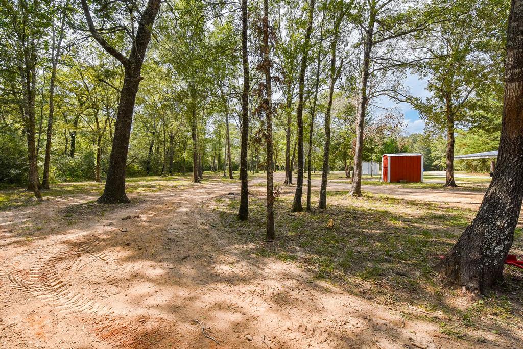 9956 Antioch Road, Midway, Texas image 9