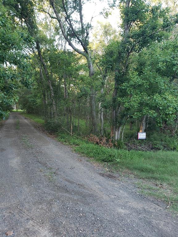 Brazos River Road, Damon, Texas image 4