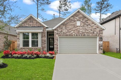 419 Embden Rim Drive Willis TX 77318