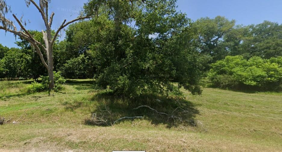 1133 Saddle Horn Bend, Angleton, Texas image 4