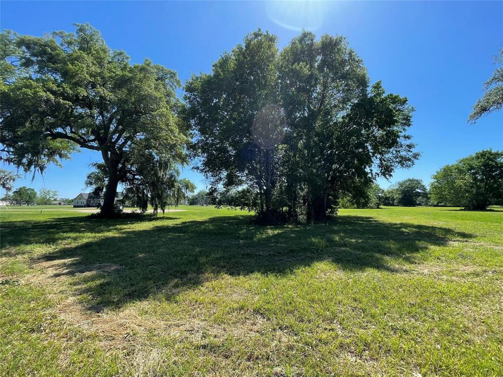 1133 Saddle Horn Bend, Angleton, Texas image 6