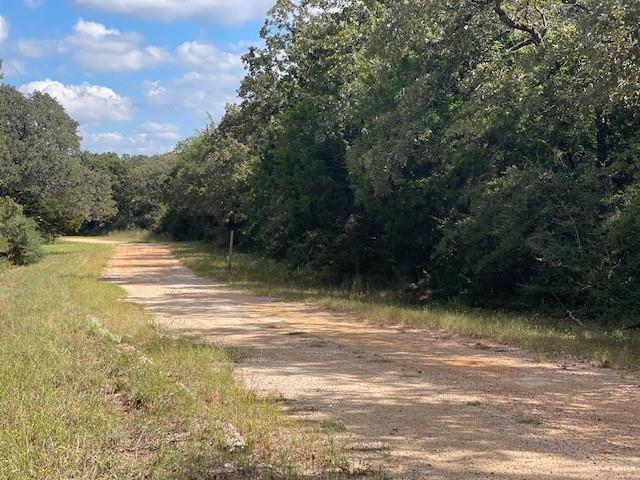 TBD Blossom, Normangee, Texas image 1